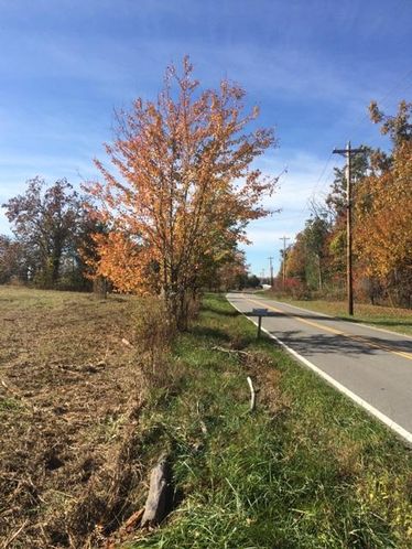 Plateau Road: Plateau Road, Crossville, TN 38571